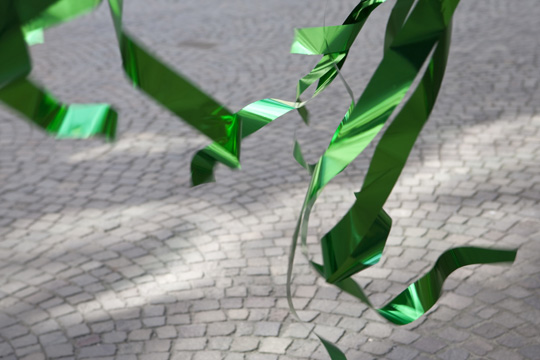 xqm-1_botanoadopt_24_hb