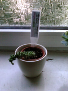 looking-left-looking-right